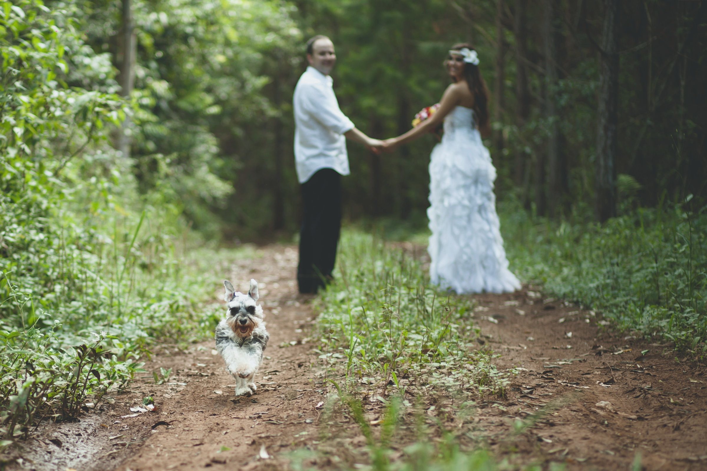 Foto de Liliane Gimenez e Andr&eacute; Ricardo Fot&oacute;grafos 22