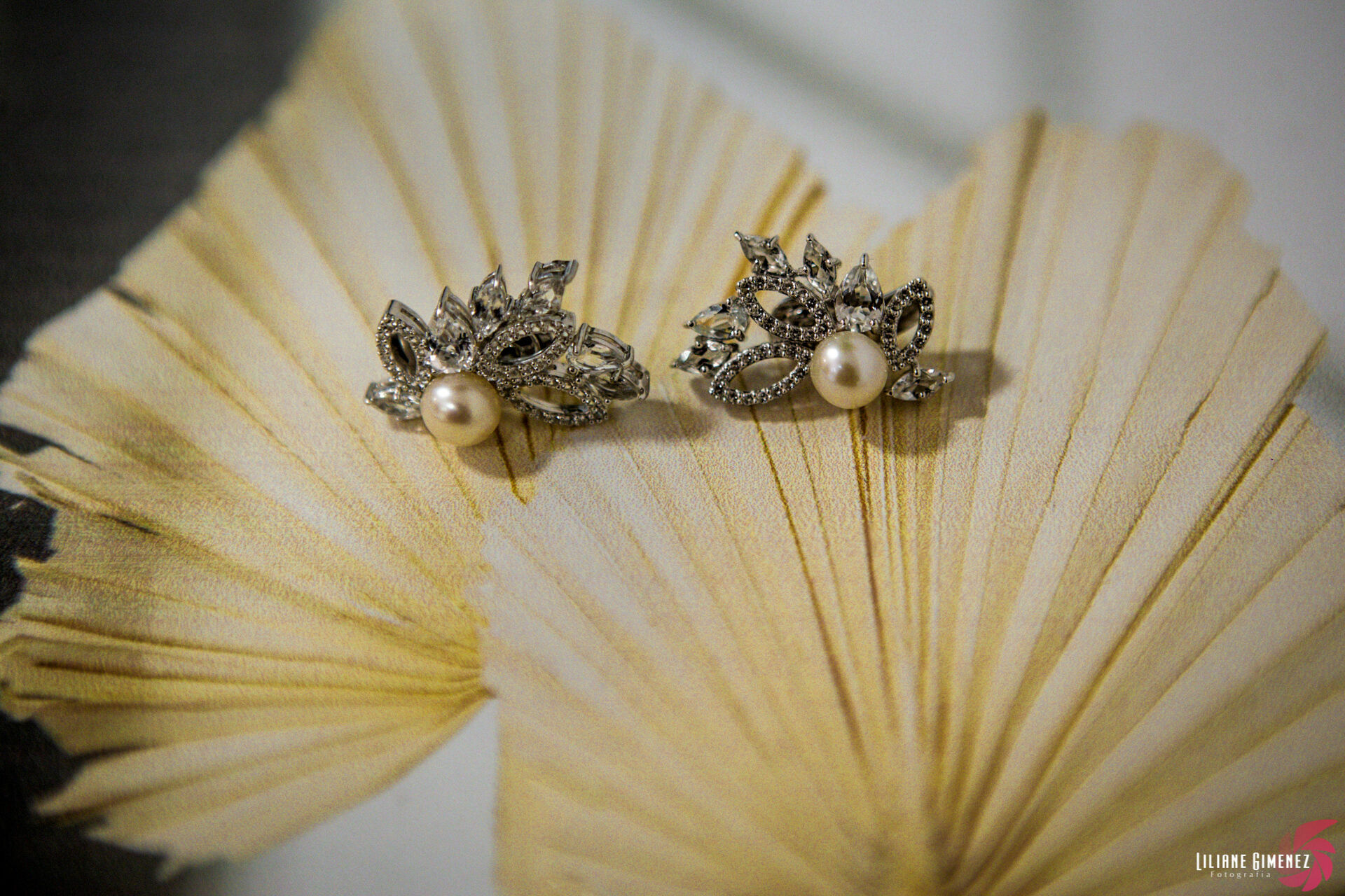 Foto Daniele e Lauro - Imagem 3