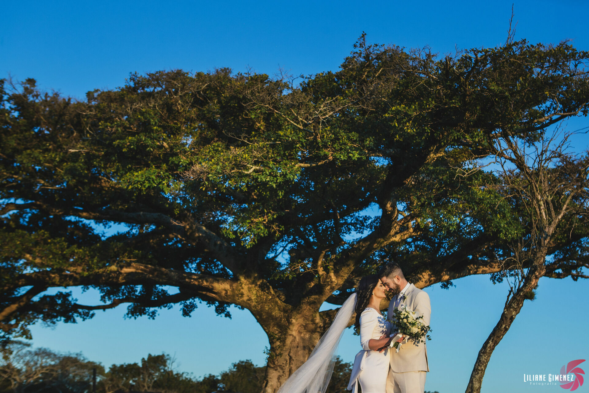 Foto Fabiana & Franco - Imagem 0