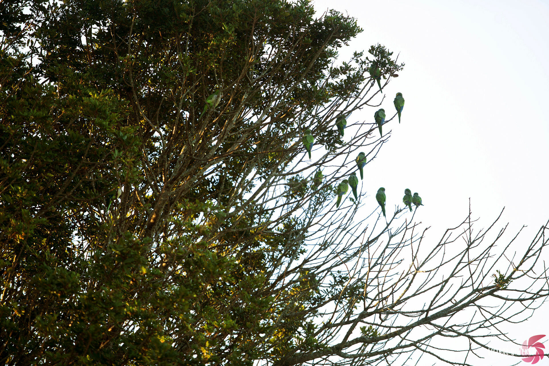Foto Fabiana & Franco - Imagem 120