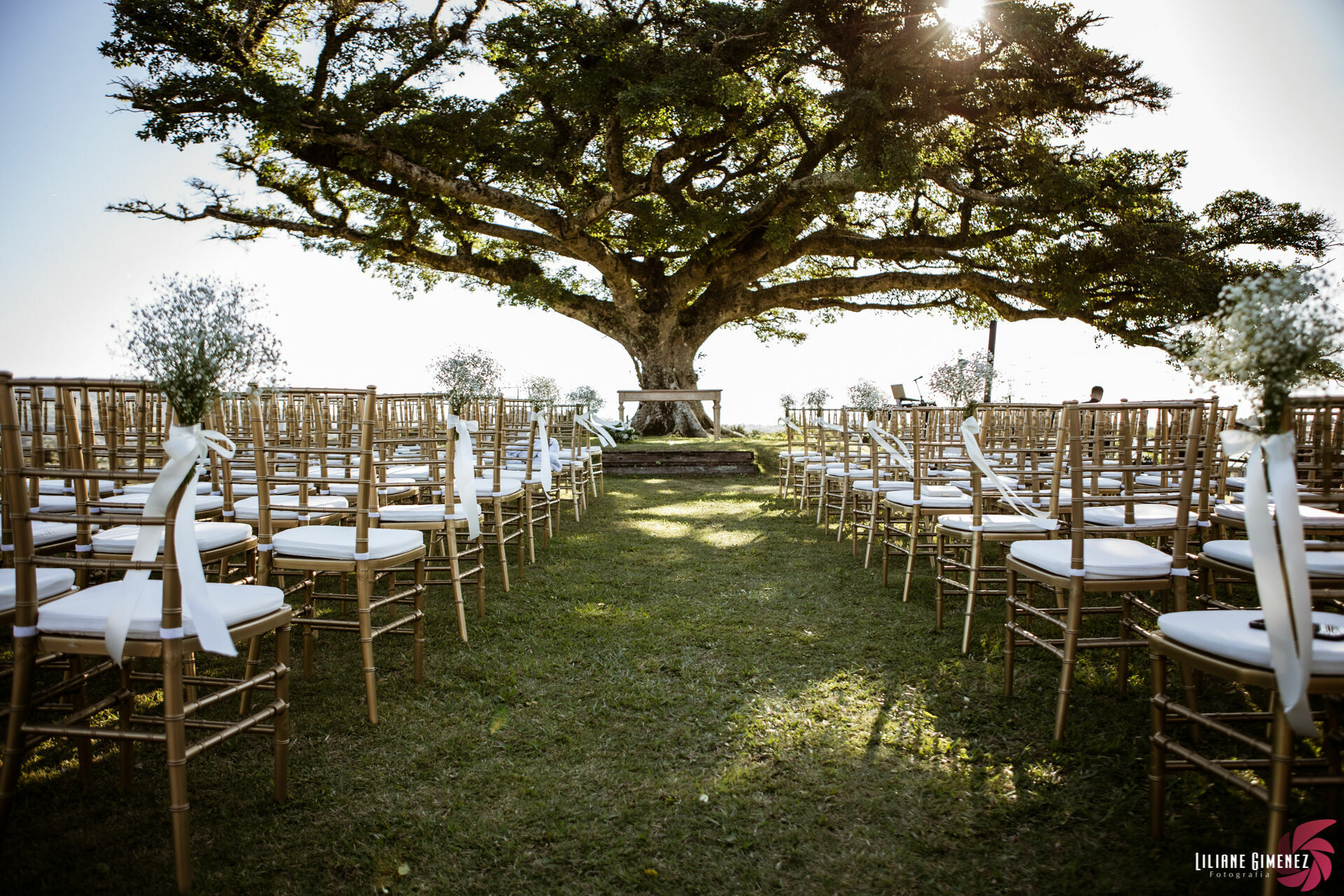 Foto Fabiana & Franco - Imagem 210